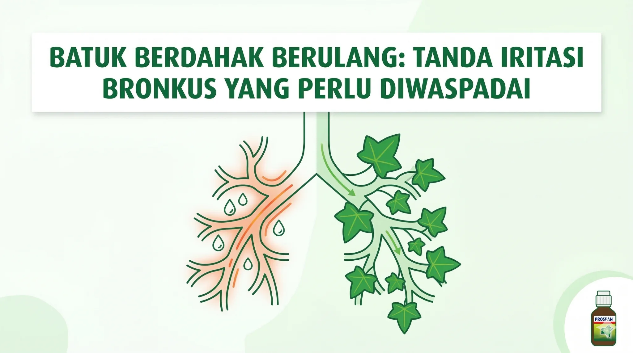 Batuk Berdahak Berulang: Tanda Iritasi Bronkus yang Perlu Diwaspadai